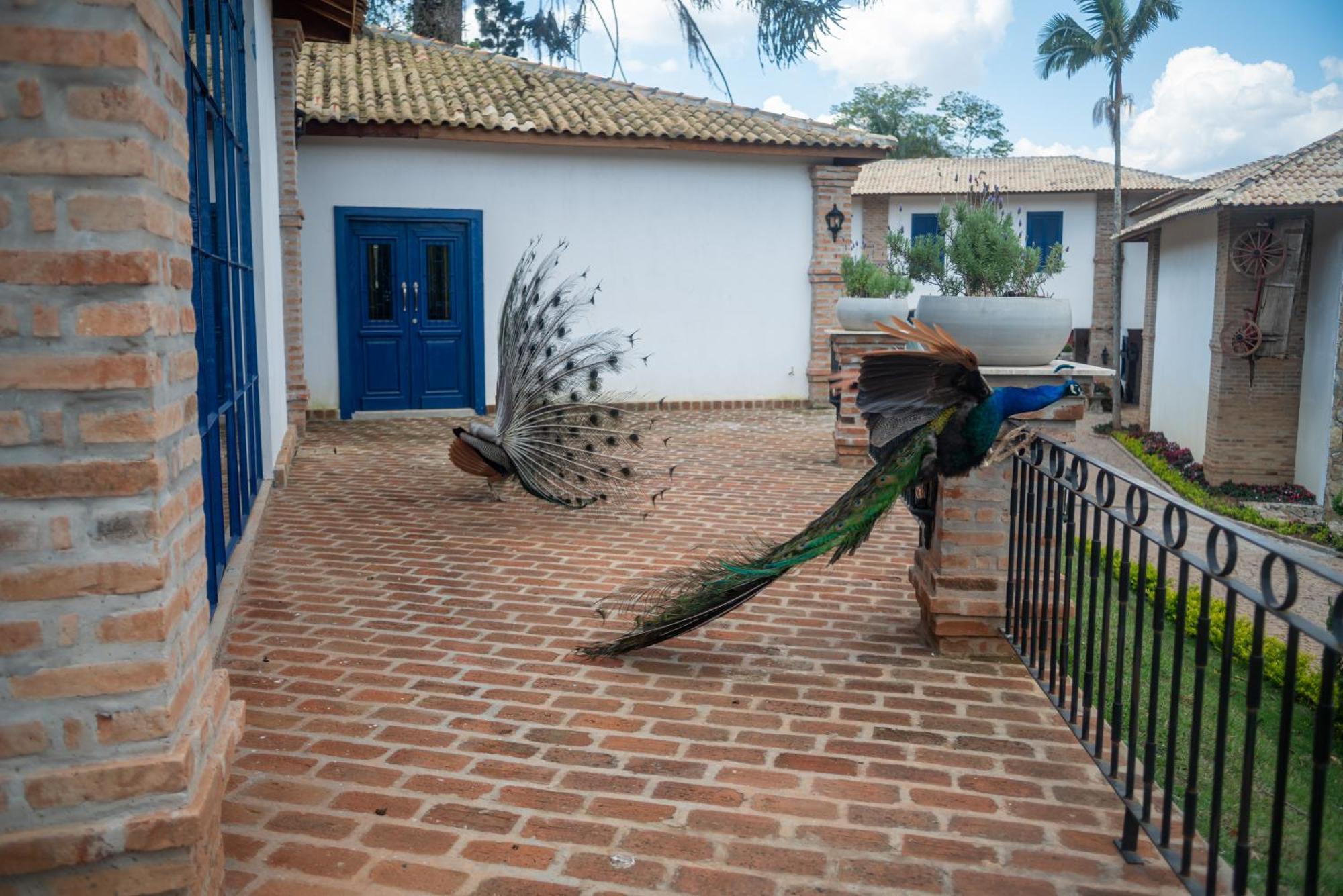Hotel Fazenda Sao Silvano Morungaba Luaran gambar